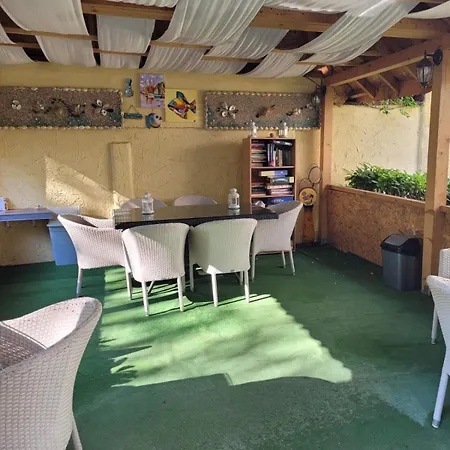 弗洛妮卡酒店 酒店