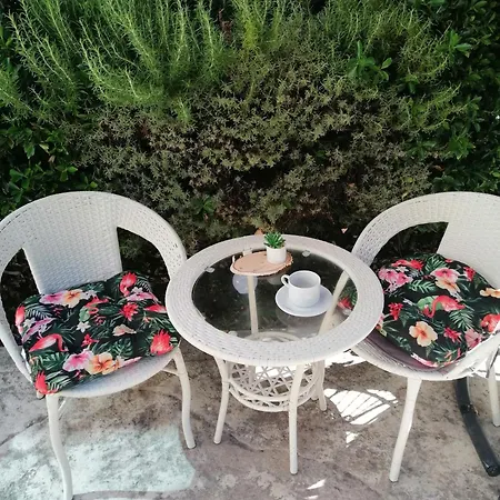 Veronika 3*
